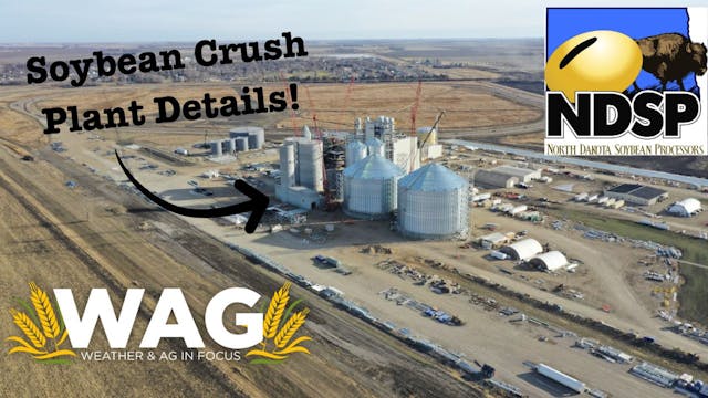 Soybean Crush Plant Details! | WAG in...