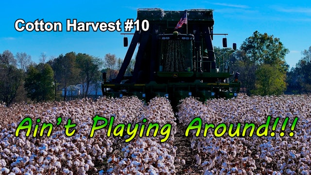 Time To Quit Playing Around!!!  Cotton Harvest #10 | Griggs Farms