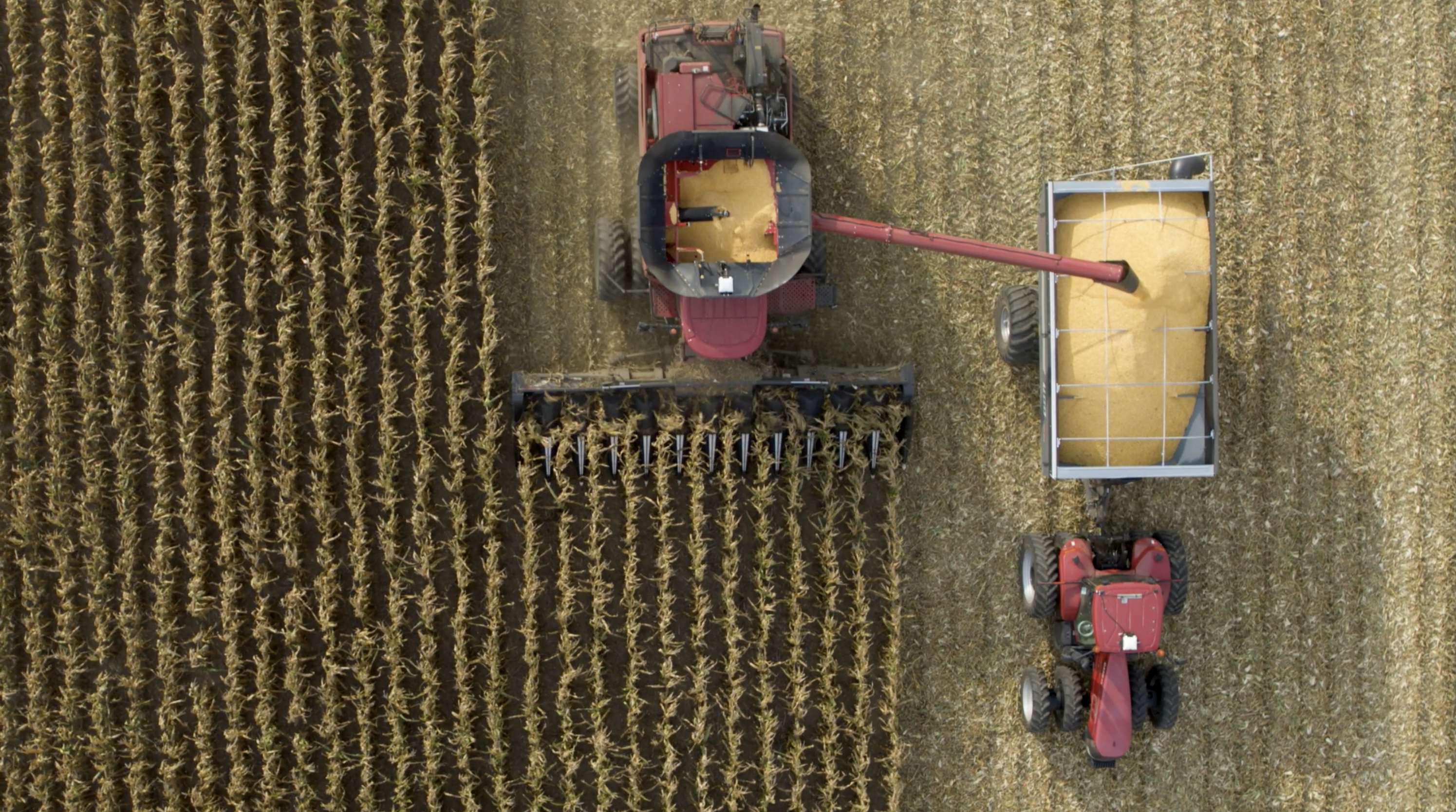Why Today’s Yields Demand a Larger Corn Head Auger | Drago
