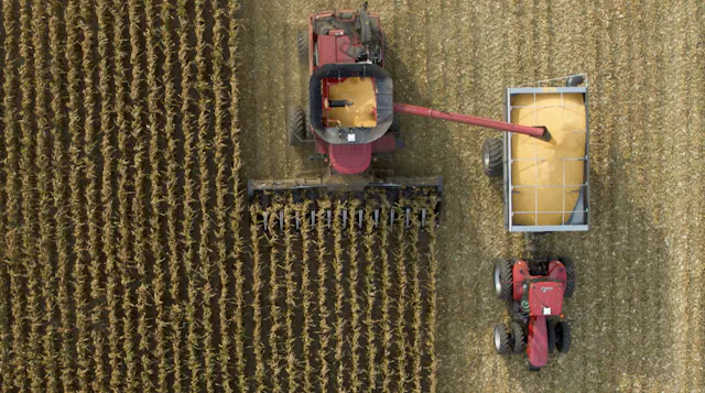 Why Today’s Yields Demand a Larger Co...