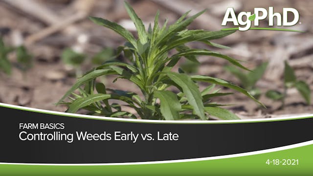 Controlling Weeds Early vs. Late | Ag...