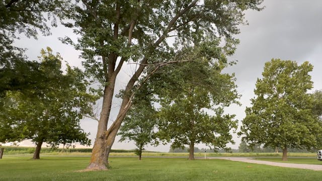 Thunder Rolls .. Rain storms. & Porch...