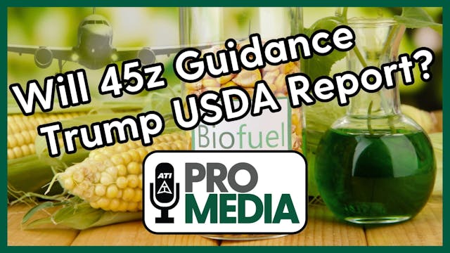 Will 45z Guidance Trump USDA Report? ...