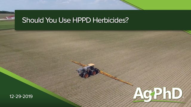 Should You Use HPPD Herbicides? | Ag PhD