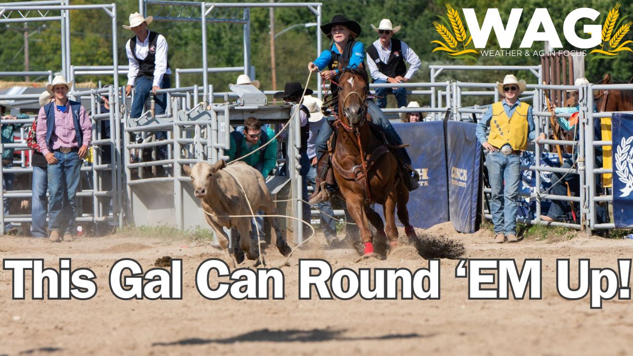 This Gal Can Round 'Em Up! | WAG in Focus 1/11/24