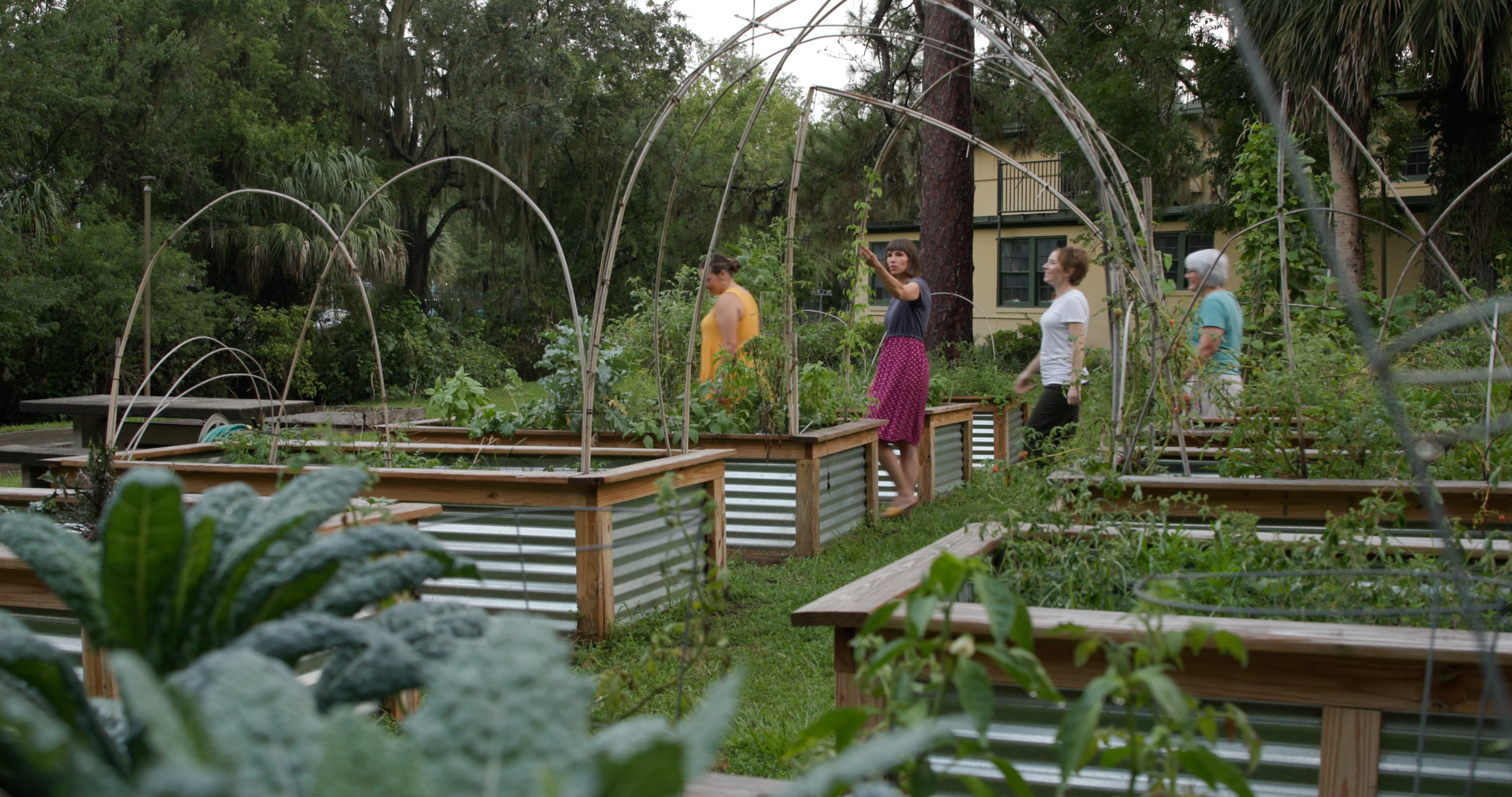 Mermaid Springs | Follow the Blooms | Episode 9