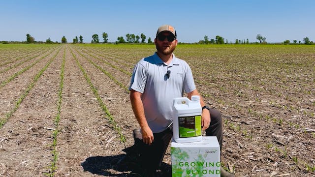 Mainstay® Si Provides Excellent Crop ...
