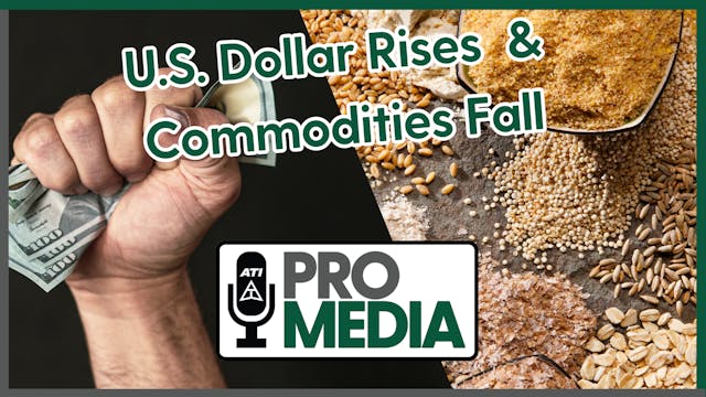 U.S. Dollar Rises & Commodities Fall ...