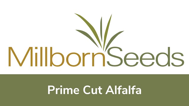 Millborn Seeds - Prime Cut Alfalfa