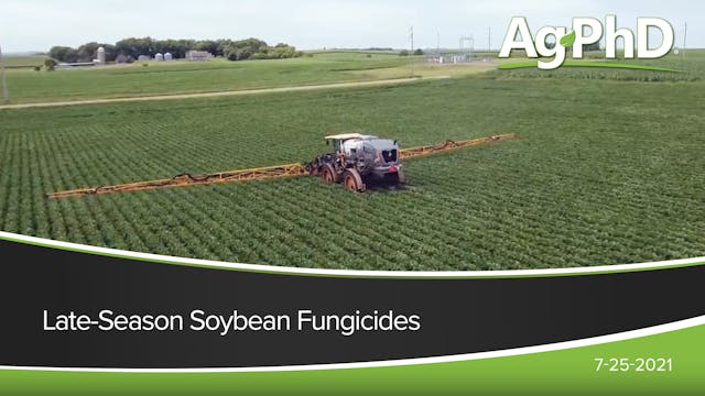 Late-Season Soybean Fungicides | Ag PhD