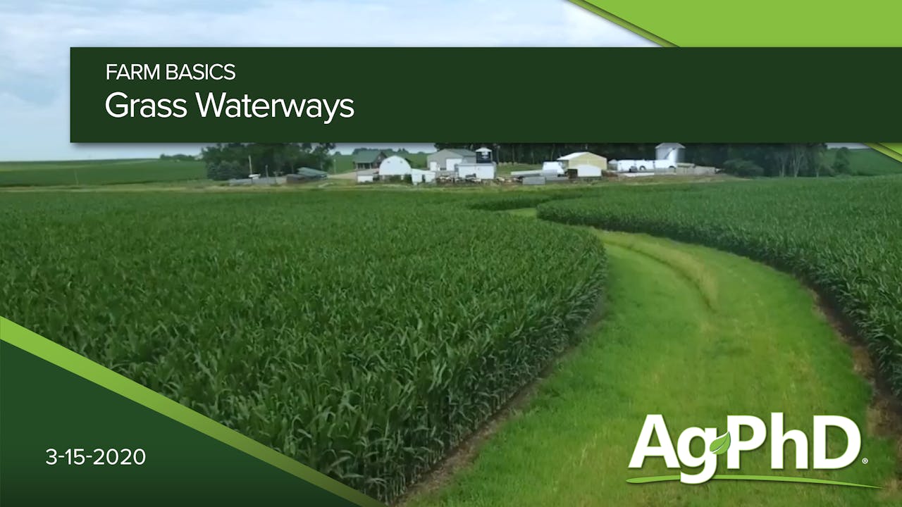 Grass Waterways 2020 AcresTV