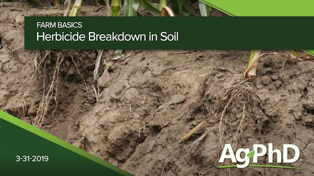 Herbicide Breakdown In Soil