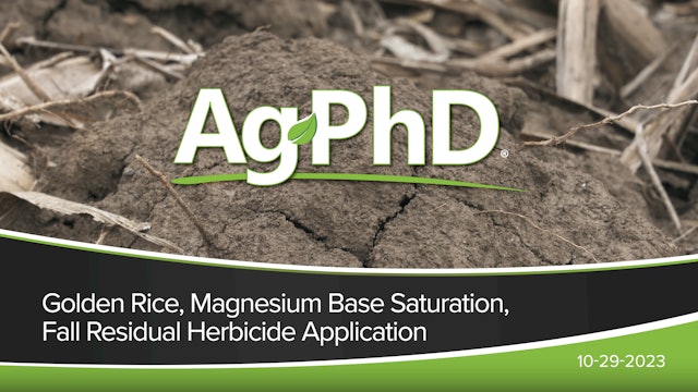 Golden Rice, Magnesium Base Saturation, Fall Residual Herbicide Application