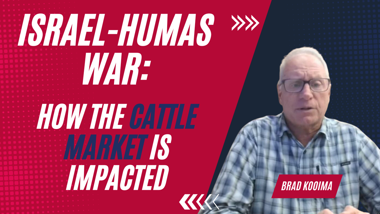 Uncertainly is Bearish for the Cattle Market | Cattle Call