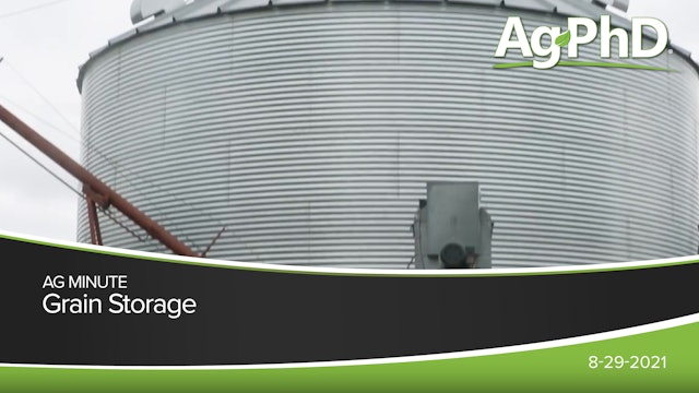 Grain Storage | Ag PhD