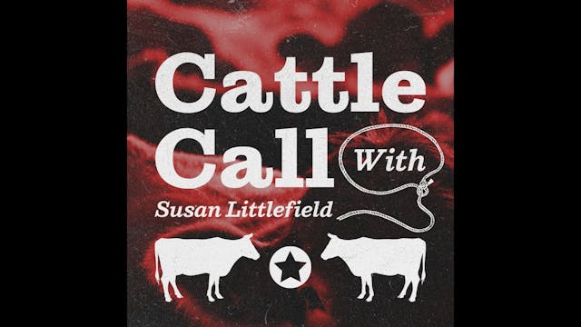 Steady Cash Cattle Trade Amid Market ...