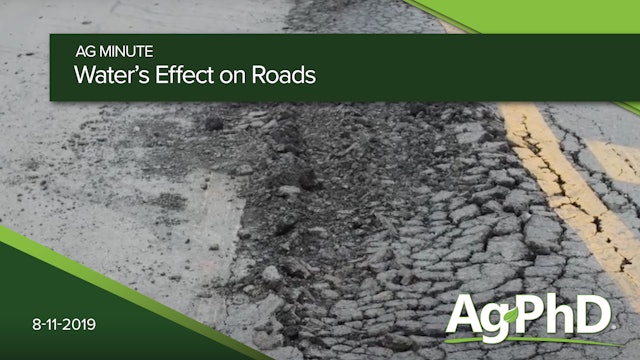 Water's Effect on Roads