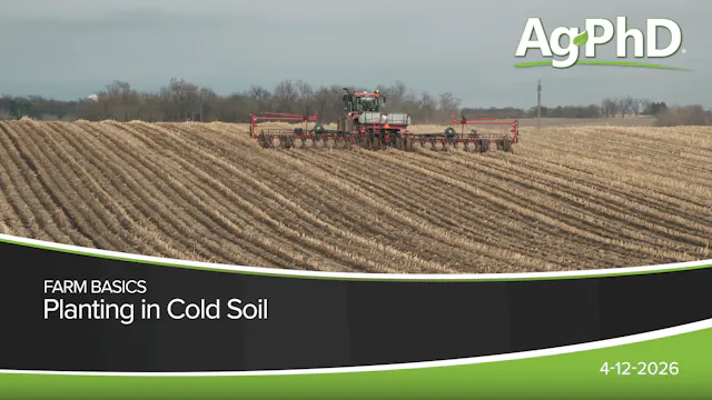 Planting in Cold Soil | Ag PhD