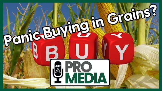 Panic Buying in Grains? | ATI ProMedi...