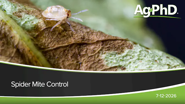 Spider Mite Control | Ag PhD