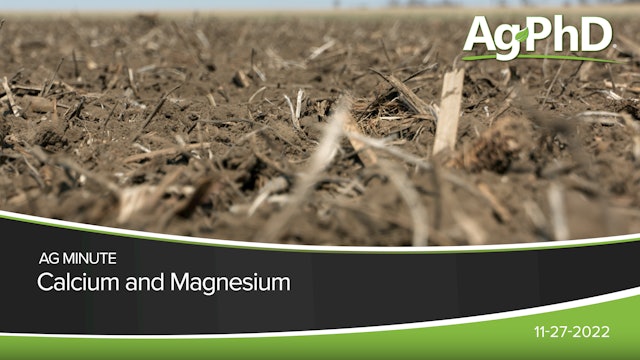 Calcium and Magnesium | Ag PhD