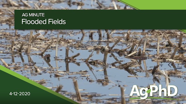Flooded Fields | Ag PhD
