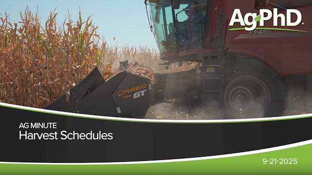 Harvest Schedules | Ag PhD