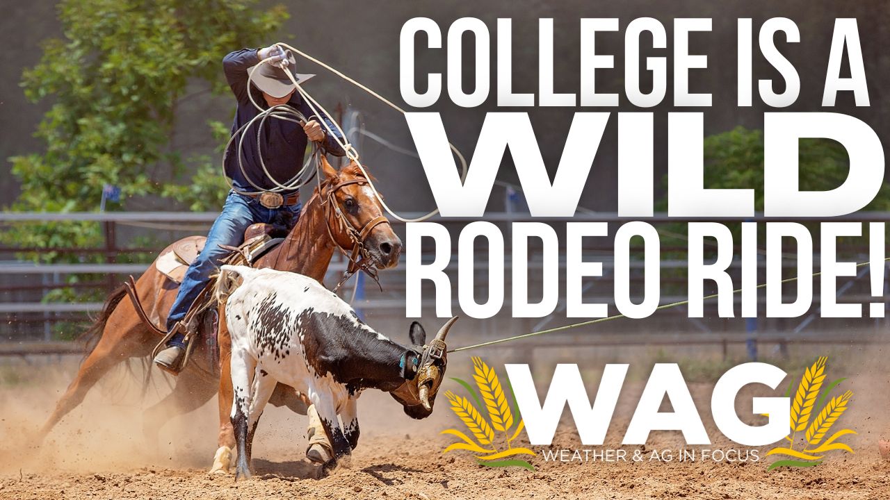College is a wild rodeo ride! 10-27-22 WAG In Focus 