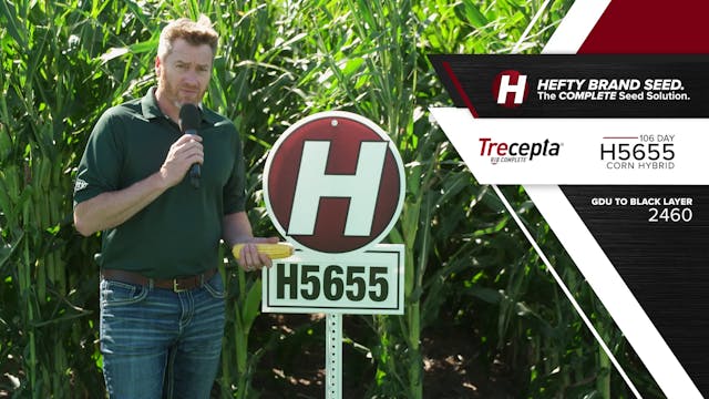 H5655 | 106-Day | Trecepta