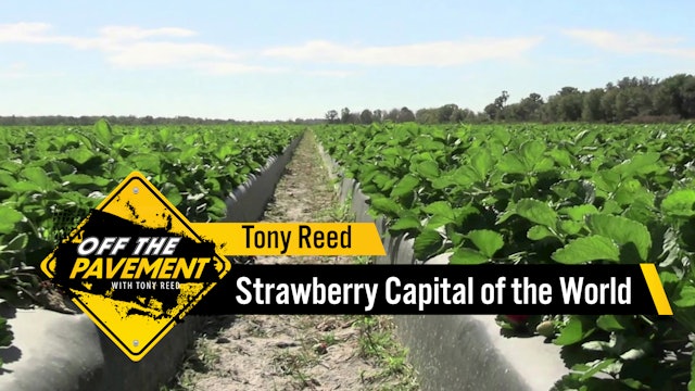 The Strawberry Capital of the World