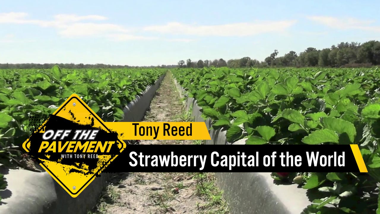 The Strawberry Capital of the World | Tony Reed - Agronomy - AcresTV