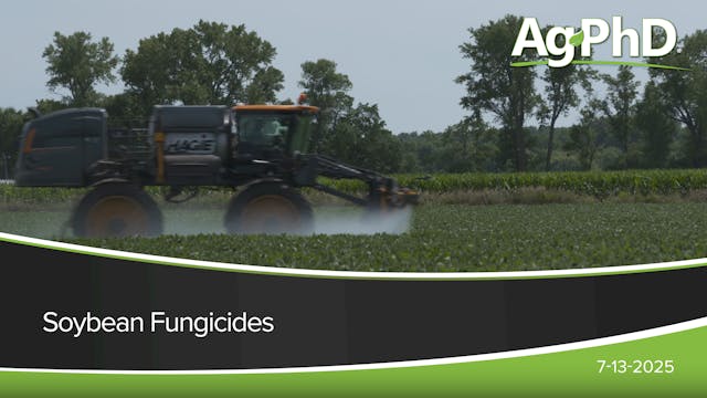 Soybean Fungicides | Ag PhD