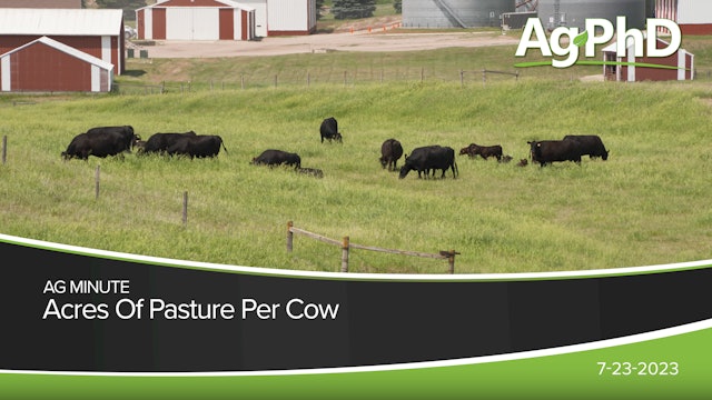 Acres Of Pasture Per Cow | Ag PhD