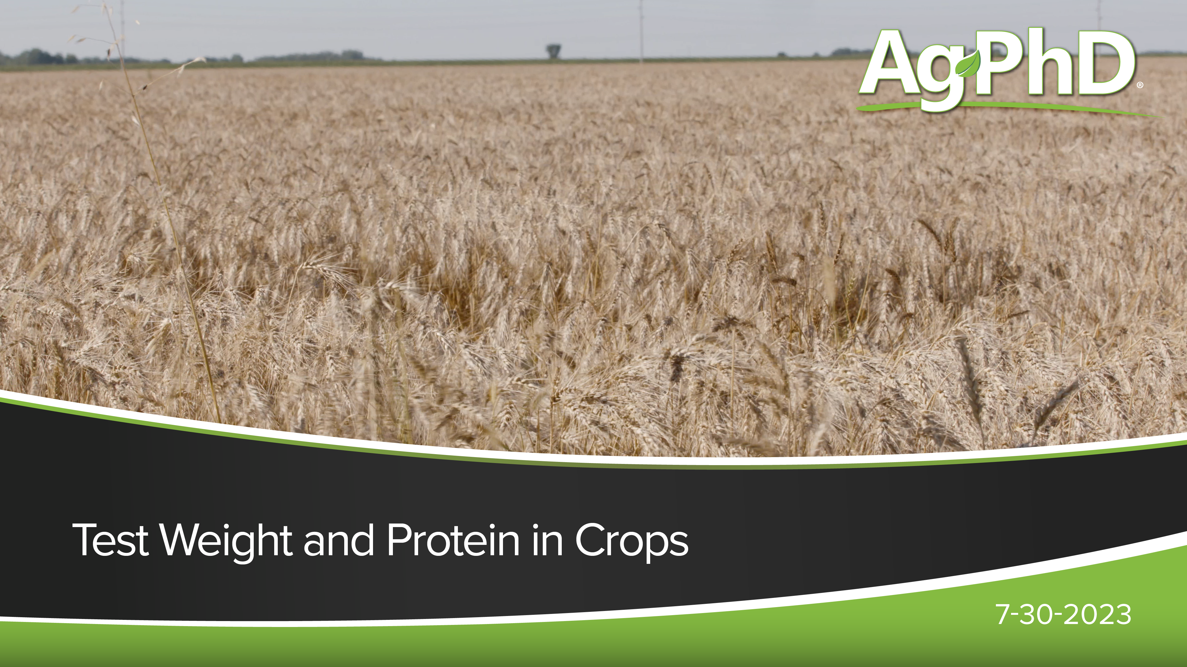 Test Weight and Protein in Crops | Ag PhD