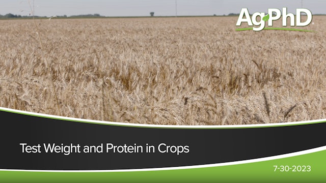Test Weight and Protein in Crops | Ag PhD