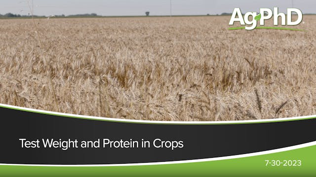 Test Weight and Protein in Crops | Ag...