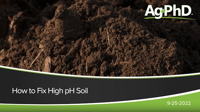 How to Fix High pH Soil | Ag PhD