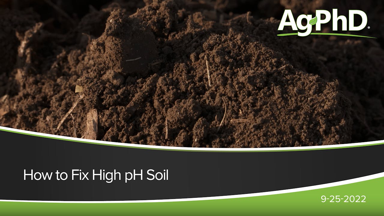 How to Fix High pH Soil Ag PhD 2022 AcresTV