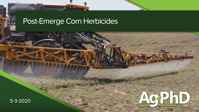 Post-Emerge Corn Herbicides