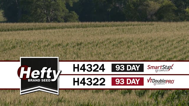 H4322| 93-Day | VT2P & H4324 | 93-Day...