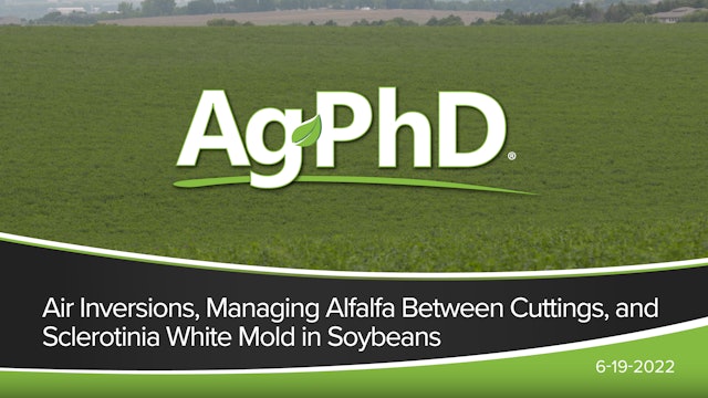 Air Inversions, Managing Alfalfa Between Cuttings, and Sclerotinia White Mold