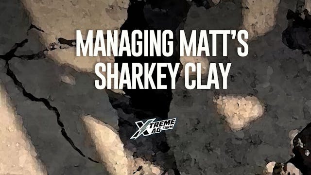 Managing Matt's Sharkey Clay