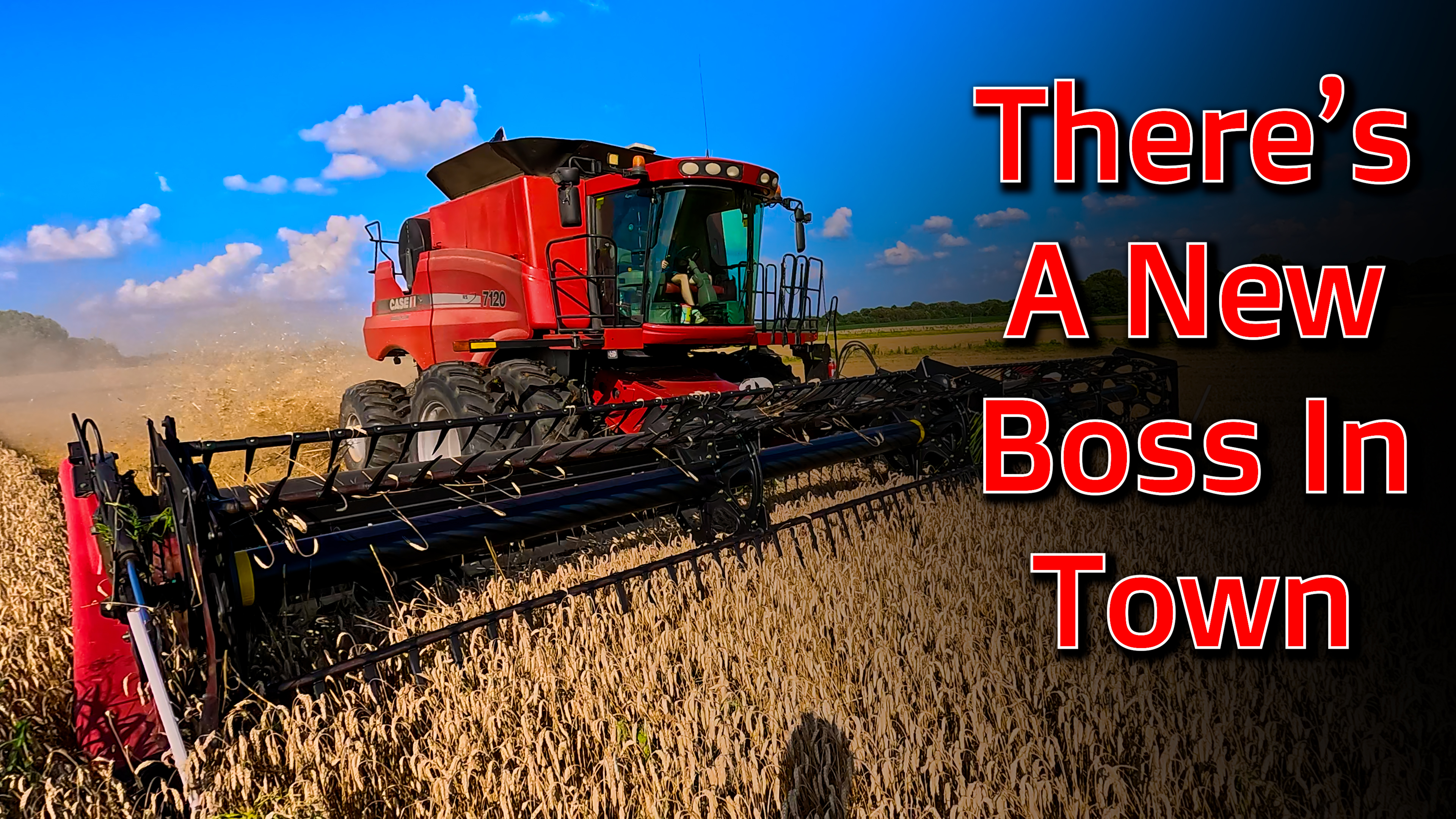 There's a New Boss in Town - Wheat Harvest #8 | Griggs Farms