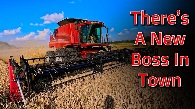 There's a New Boss in Town - Wheat Ha...