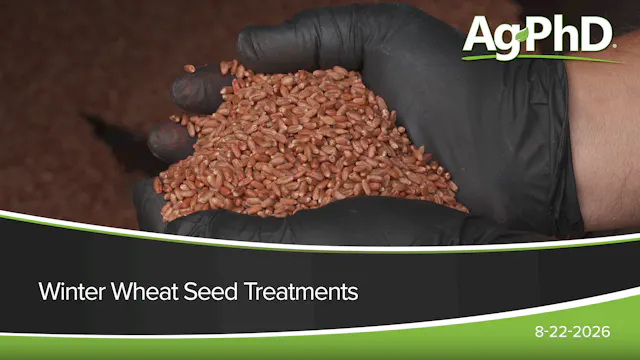 Winter Wheat Seed Treatments | Ag PhD