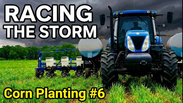 A Race Against the Weather Corn Plant...