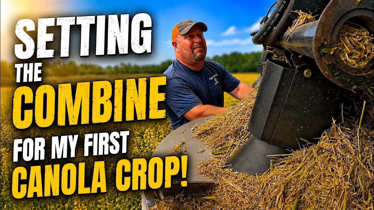 Setting The Combine for Our First Ever Canola Harvest! | Griggs Farms