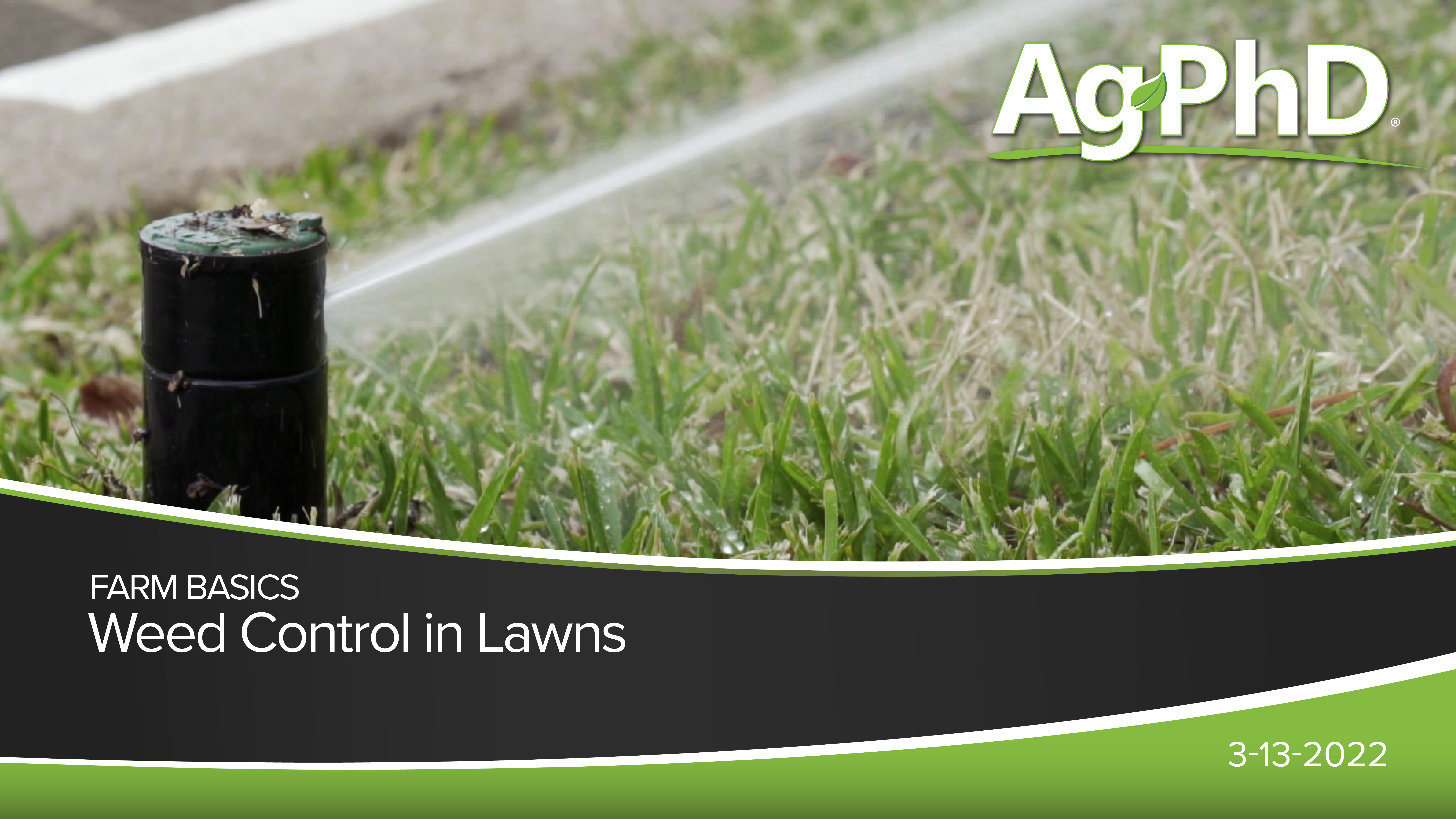Weed Control in Lawns | Ag PhD