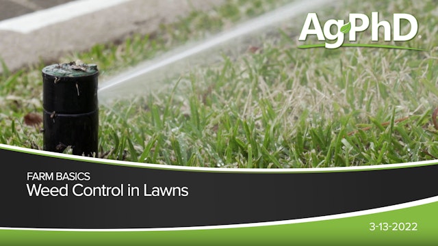 Weed Control in Lawns