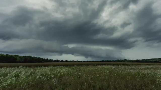 SoilWarrior 4540 SXD Brooks Cardinal